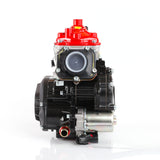 Rotax 125 Max Senior (Engine Only)